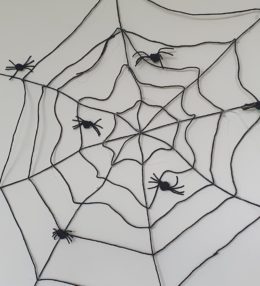Spider Web & Spider Craft