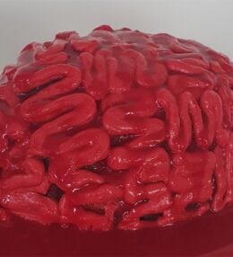 Yucky Brain Cake for Halloween